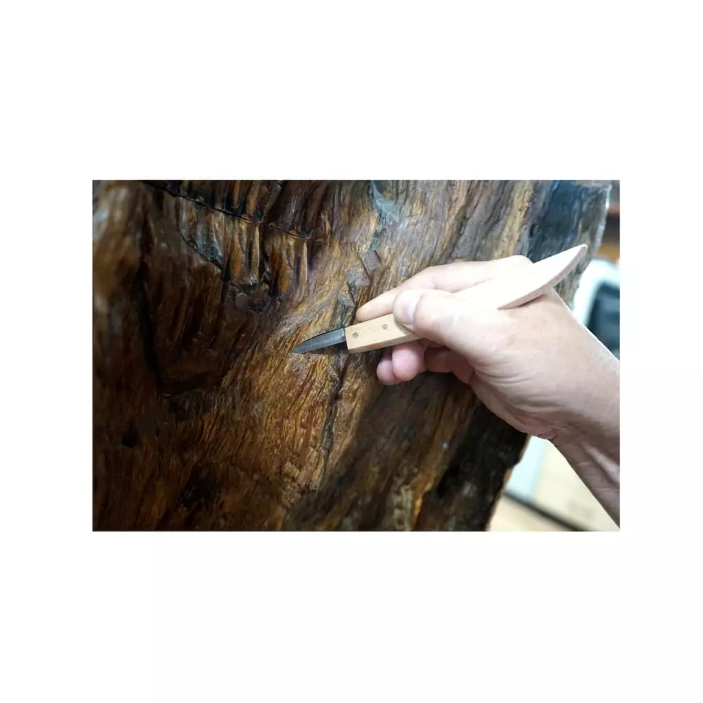 Outlet โ๏ธ Carving Knife by ArtMinds® ๐ฏ - Image 5