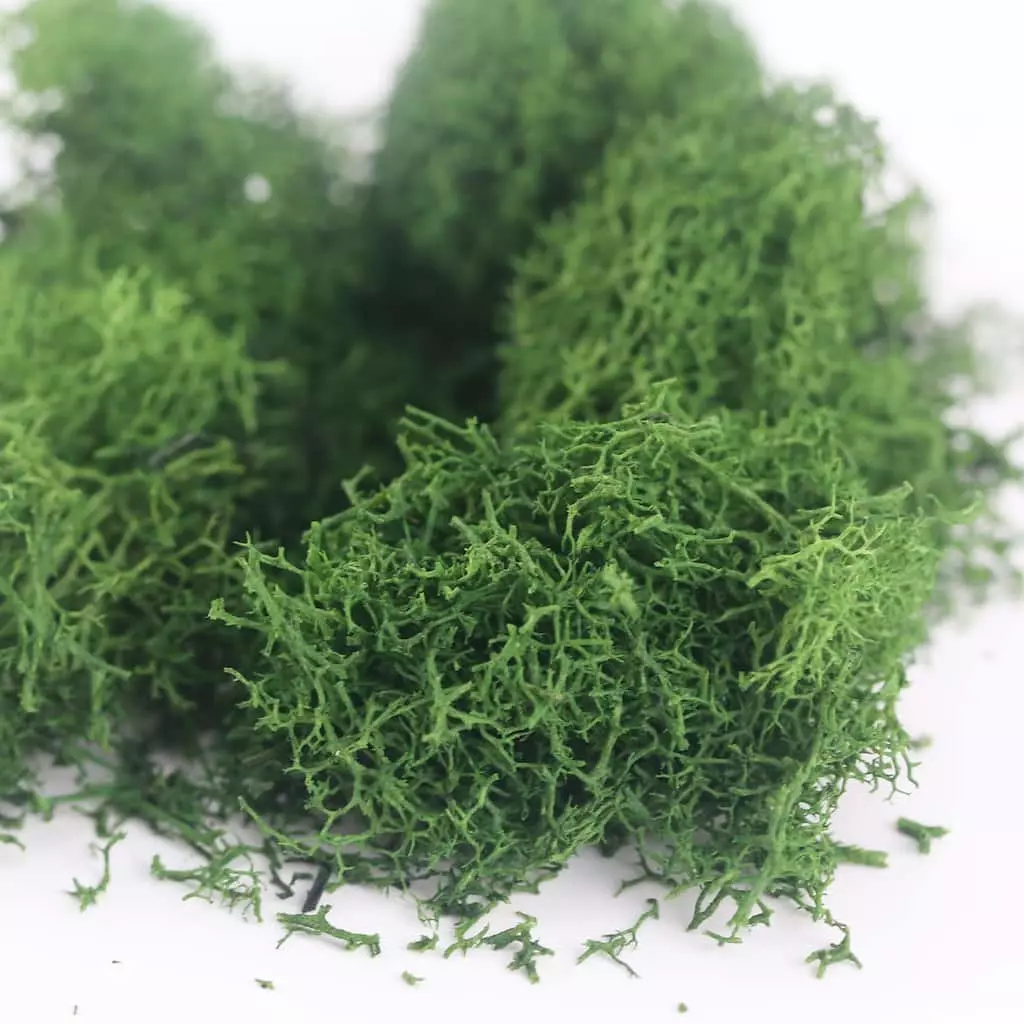 Best Sale 😀 Scenery Plants by ArtMinds™ 😉 - Image 3