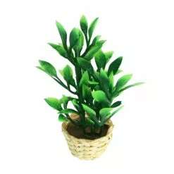 Cheap ✨ 12 Pack: Mini Potted Plant by ArtMinds™ 🧨