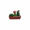 Discount ⌛ 12 Pack: Mini Cacti in Window Box by ArtMinds™ 👏