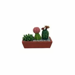 Best Sale ⭐ Mini Cacti in Window Box By ArtMinds™ 🔥