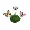 Best reviews of 🤩 Mini Butterflies on Coil with Moss By ArtMinds™ 🤩