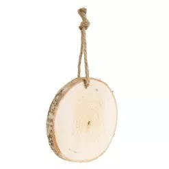 Coupon 😀 5ct. 4" Birchwood Round Ornament by Artminds™ 👍