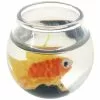 Budget 🤩 12 Pack: Mini Fish Bowl Accent by ArtMinds™ ❤️