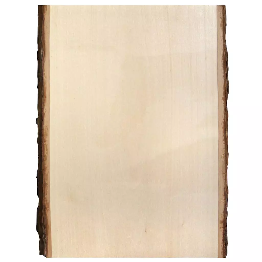 Deals π 8 Pack: 13" Basswood Rectangle Plaque by ArtMinds® π